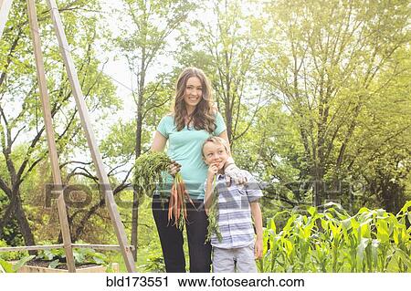 Caucasian mother and son holding carrots in garden View Large Photo Image Stock Image - Caucasian mother and son holding carrots in garden. Fotosearch