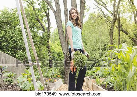 Caucasian woman holding carrots in garden View Large Photo Image Stock Photo - Caucasian woman holding carrots in garden. Fotosearch