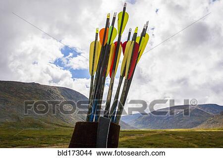 Picture - Close up of arrows in quiver. Fotosearch