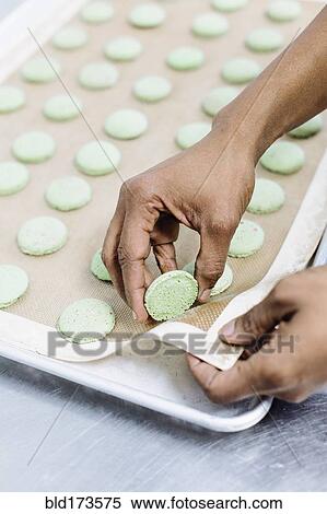 Stock Photography - Close up of baker peeling cookies from tray. Fotosearch