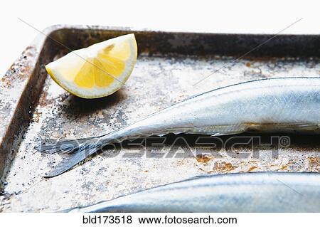 Close up of lemon and fish on baking sheet View Large Photo Image Stock Photo - Close up of lemon and fish on baking sheet. Fotosearch