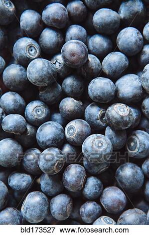 Stock Photo - Close up of pile of blueberries. Fotosearch