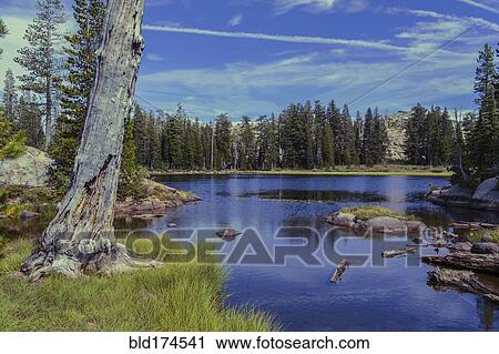 Forest over remote lake View Large Photo Image Stock Image - Forest over remote lake. Fotosearch