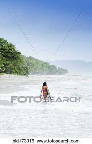 Hispanic woman carrying fins on beach View Large Photo Image Stock Photograph - Hispanic woman carrying fins on beach. Fotosearch