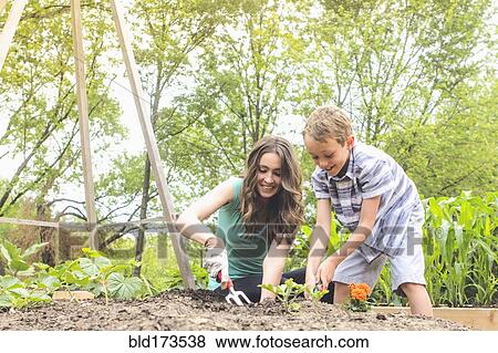 Mother and son planting in garden View Large Photo Image Stock Photo - Mother and son planting in garden. Fotosearch