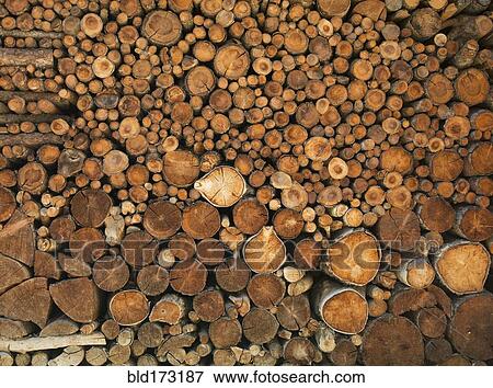 Pile of cut logs View Large Photo Image Stock Photo - Pile of cut logs. Fotosearch