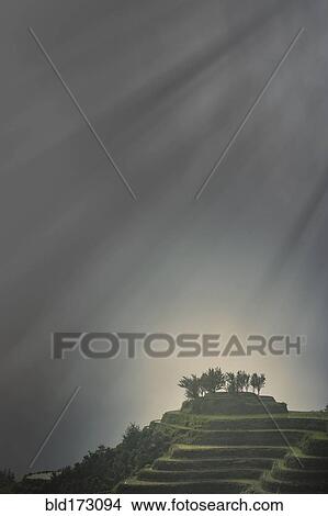 Picture - Rice paddy hills under sunbeams. Fotosearch