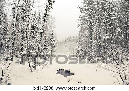 Stream in snowy forest View Large Photo Image Stock Photo - Stream in snowy forest. Fotosearch