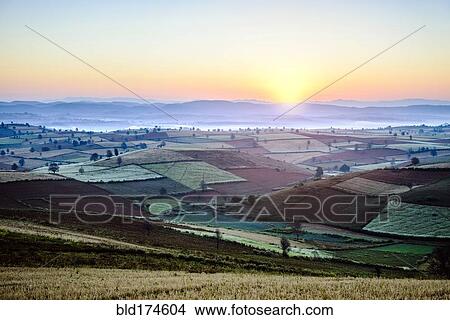 Picture - Sunrise over farmland in rural landscape. Fotosearch