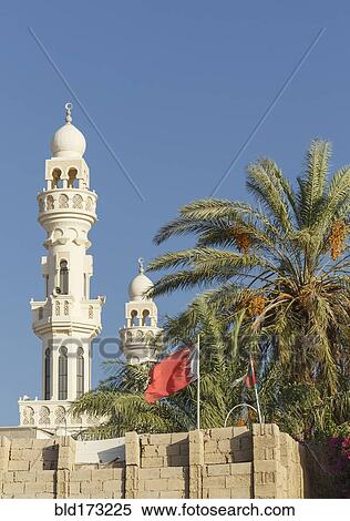 Stock Photography - Towers and palm tree under blue sky. Fotosearch