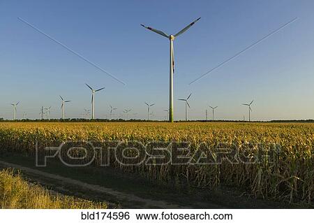 Wind turbines in rural field View Large Photo Image Stock Photograph - Wind turbines in rural field. Fotosearch