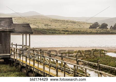 Stock Photo - Wooden walkway at rural lake. Fotosearch