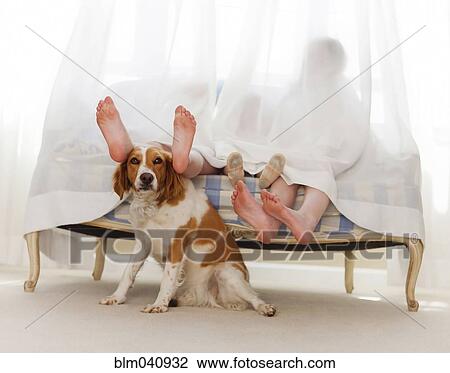 Bare feet of family behind curtain with dog View Large Photo Image Stock Image - Bare feet of family behind curtain with dog . Fotosearch