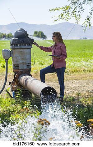 Caucasian farmer checking water pump View Large Photo Image Stock Image - Caucasian farmer checking water pump. Fotosearch