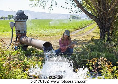 Caucasian farmer checking water pump View Large Photo Image Stock Image - Caucasian farmer checking water pump. Fotosearch