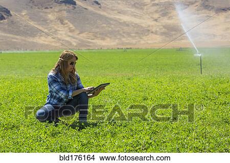 Picture - Caucasian farmer using digital tablet in field. Fotosearch