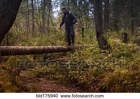 Stock Image - Caucasian man balancing on fallen tree. Fotosearch
