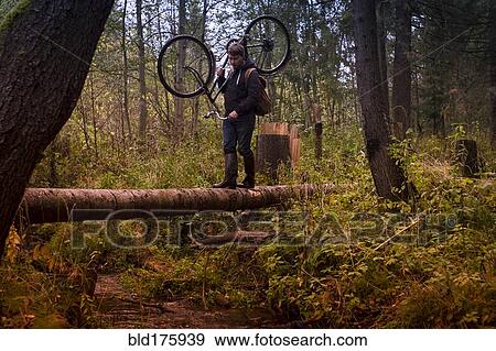 Stock Photo - Caucasian man carrying bicycle on fallen tree. Fotosearch