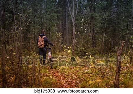 Caucasian man pushing bicycle on forest path View Large Photo Image Stock Photo - Caucasian man pushing bicycle on forest path. Fotosearch