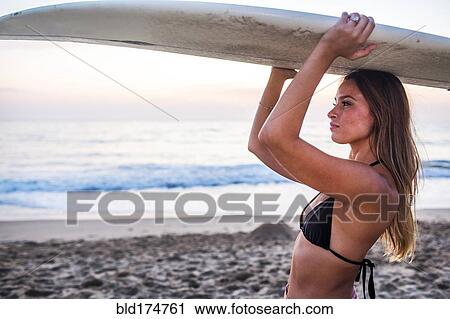 Caucasian surfer carrying surfboard on beach View Large Photo Image Stock Image - Caucasian surfer carrying surfboard on beach. Fotosearch