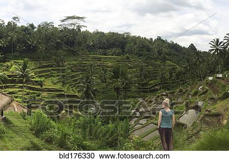 Stock Image - Caucasian tourist admiring rural rice terrace. Fotosearch