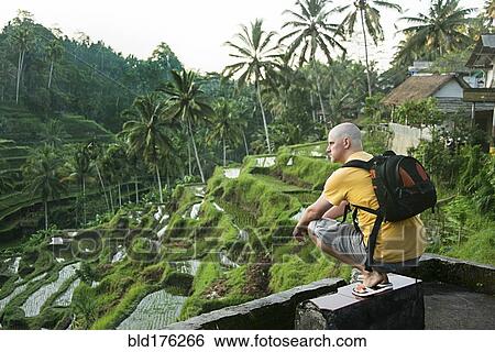 Caucasian tourist admiring rural rice terrace, Ubud, Bali, Indonesia View Large Photo Image Stock Photograph - Caucasian tourist admiring rural rice terrace, Ubud, Bali, Indonesia. Fotosearch