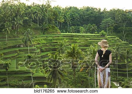 Stock Photography - Caucasian tourist admiring rural rice terrace, Ubud, Bali, Indonesia. Fotosearch