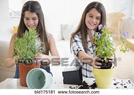 Caucasian twin sisters planting flowers View Large Photo Image Stock Image - Caucasian twin sisters planting flowers. Fotosearch