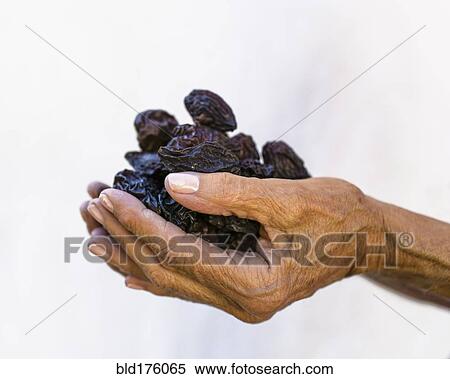 Stock Photography - Caucasian woman holding prunes. Fotosearch