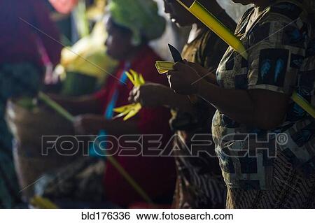 Chefs carving plant stalks in kitchen View Large Photo Image Stock Photograph - Chefs carving plant stalks in kitchen. Fotosearch