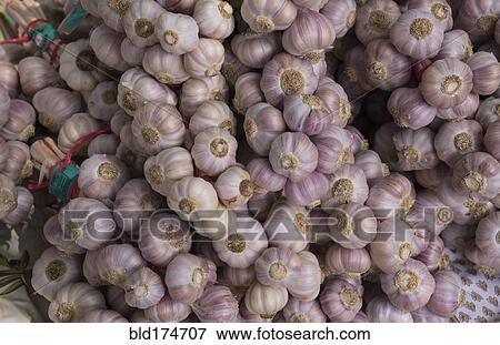 Close up of pile of garlic bulbs View Large Photo Image Stock Photo - Close up of pile of garlic bulbs. Fotosearch