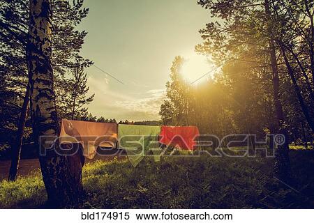 Clothesline hanging in rural field View Large Photo Image Stock Photography - Clothesline hanging in rural field. Fotosearch