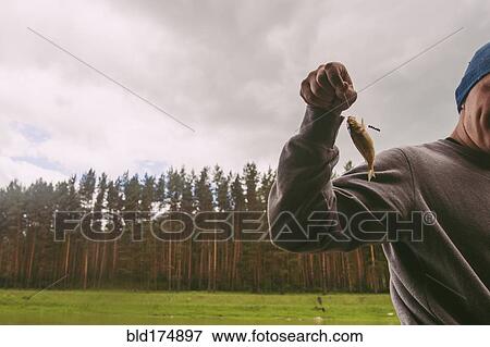 Fisherman holding small fish on hook View Large Photo Image Stock Photo - Fisherman holding small fish on hook. Fotosearch