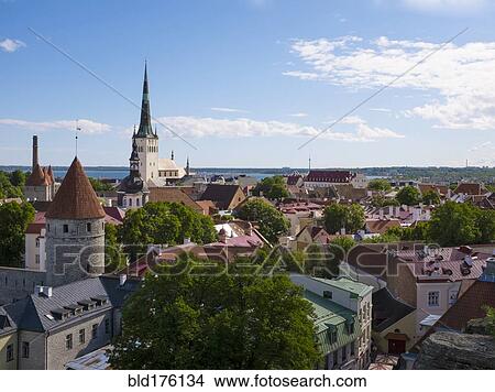 Picture - High angle view of Tallinn cityscape, Estonia. Fotosearch