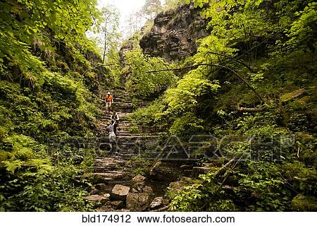 Hiker climbing rocks in forest View Large Photo Image Stock Image - Hiker climbing rocks in forest. Fotosearch