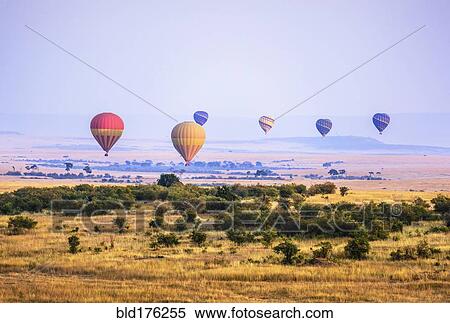 Hot air balloons flying over savanna landscape View Large Photo Image Stock Photography - Hot air balloons flying over savanna landscape. Fotosearch