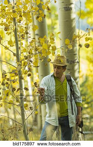 Man exploring autumn forest View Large Photo Image Stock Photo - Man exploring autumn forest. Fotosearch