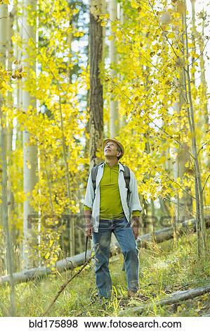 Man exploring autumn forest View Large Photo Image Stock Photo - Man exploring autumn forest. Fotosearch