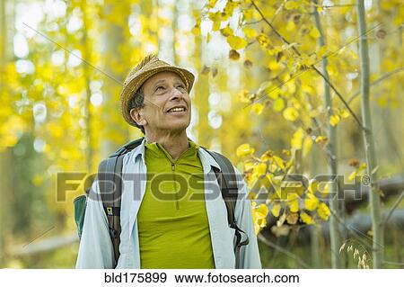 Stock Photo - Man exploring autumn forest. Fotosearch
