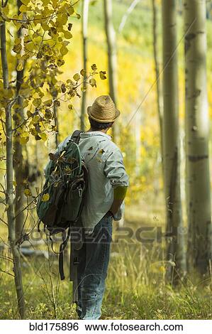 Man exploring autumn forest View Large Photo Image Stock Photograph - Man exploring autumn forest. Fotosearch