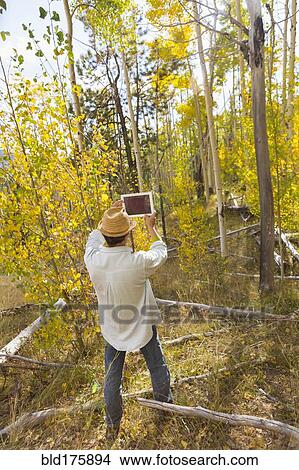 Picture - Man photographing with digital tablet in autumn forest. Fotosearch