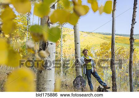 Man reading book in autumn forest View Large Photo Image Stock Photograph - Man reading book in autumn forest. Fotosearch
