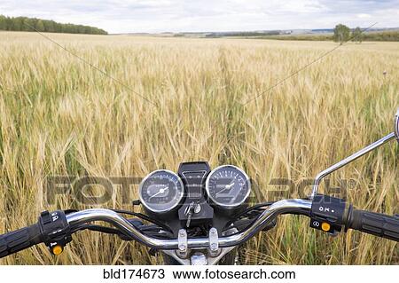 Stock Image - Motorcycle handlebar in tall grass. Fotosearch
