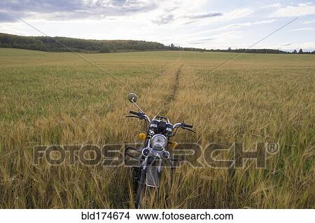 Picture - Motorcycle parked in tall grass. Fotosearch