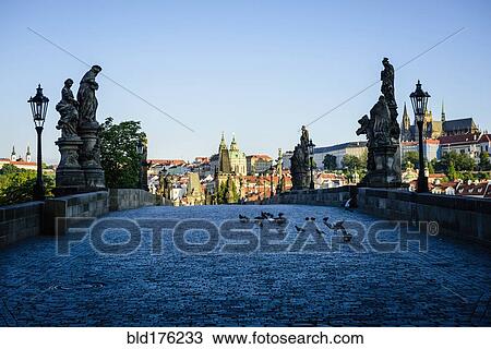 Pigeons on brick path in Prague cityscape, Czech Republic View Large Photo Image Stock Image - Pigeons on brick path in Prague cityscape, Czech Republic. Fotosearch