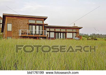 Tall grass growing near modern home View Large Photo Image Stock Photo - Tall grass growing near modern home. Fotosearch