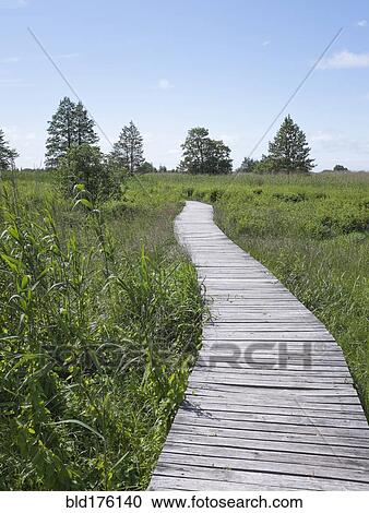 Stock Image - Wooden walkway in rural field. Fotosearch