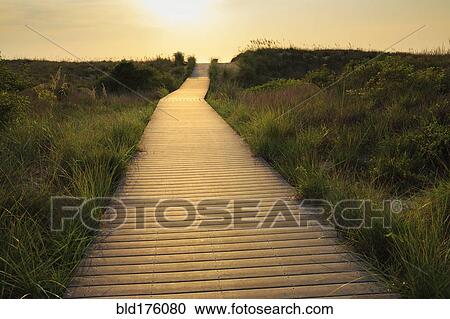Wooden walkway to beach View Large Photo Image Stock Image - Wooden walkway to beach. Fotosearch