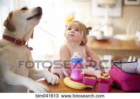 Stock Image - Caucasian girl and dog eating at table. Fotosearch