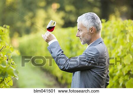 Caucasian man examining glass of wine in vineyard View Large Photo Image Stock Image - Caucasian man examining glass of wine in vineyard. Fotosearch
